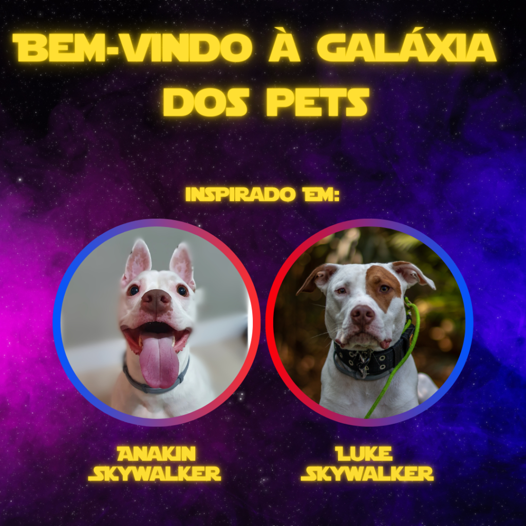 Bem-vindo á galáxia dos pets