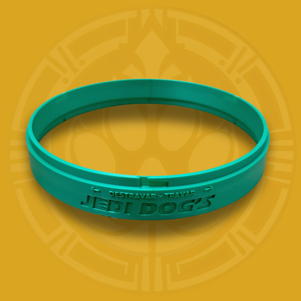 Anel avulso - Comedouro Ergonômico - Verde, 750 ML